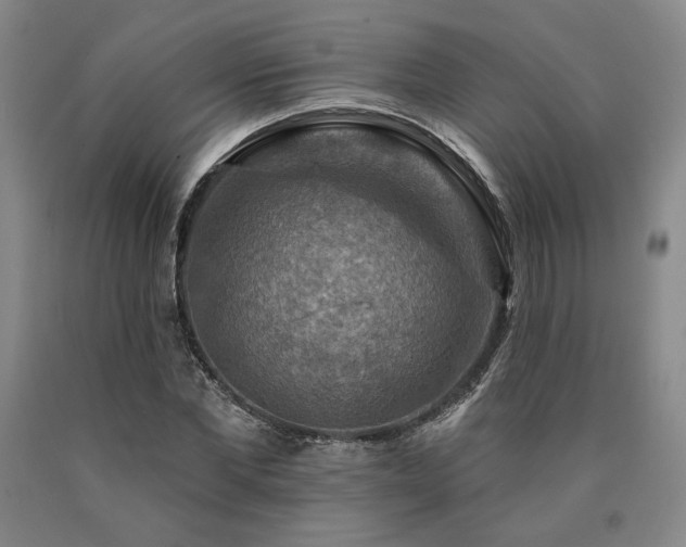X0000090930877200707301553