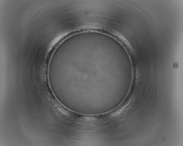 X0000090930878200707301553