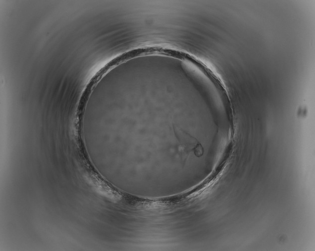 X0000090930879200707301553