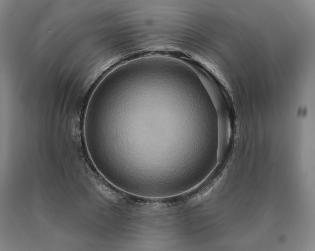 X0000090930881200707301553