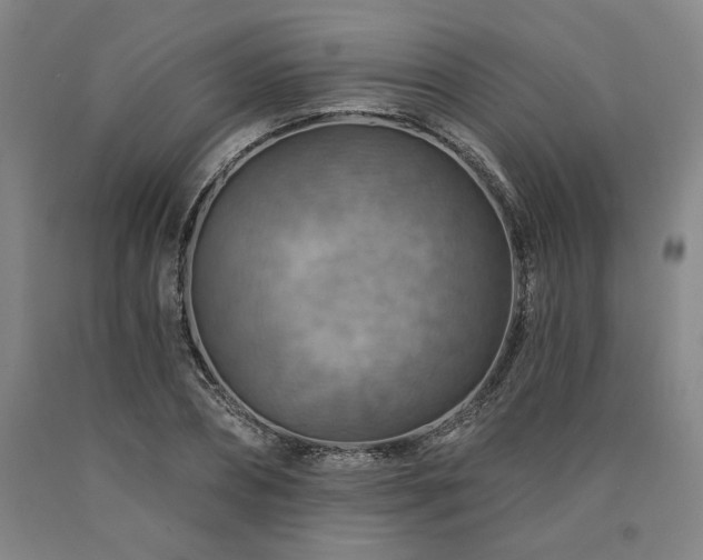 X0000090930882200707301553