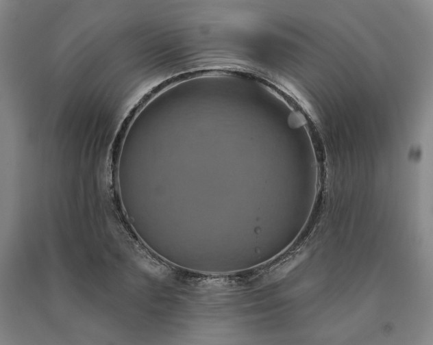 X0000090930883200707301553