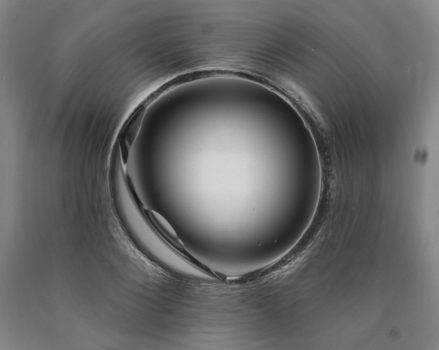 X0000090930884200707301553