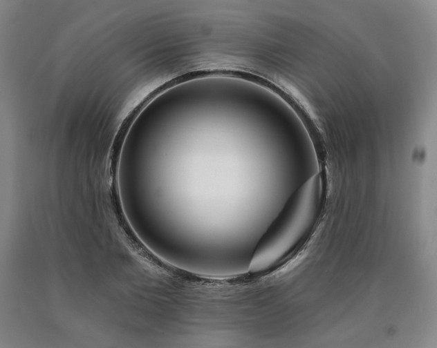 X0000090930885200707301553