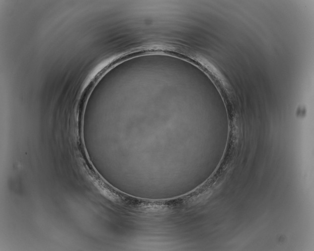 X0000090930886200707301553