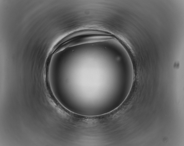 X0000090930888200707301553