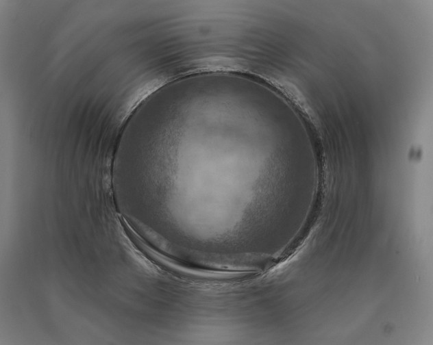 X0000090930889200707301553