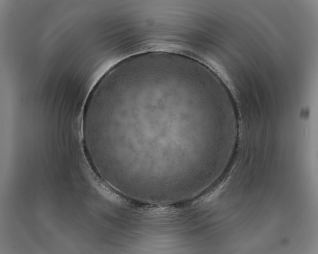 X0000090930891200707301553