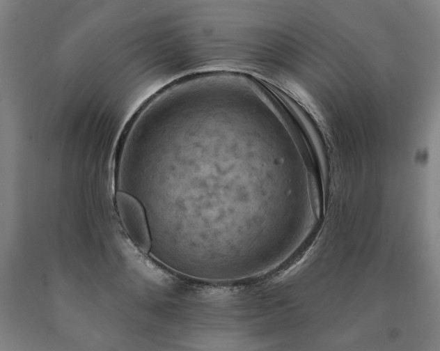 X0000090930892200707301553