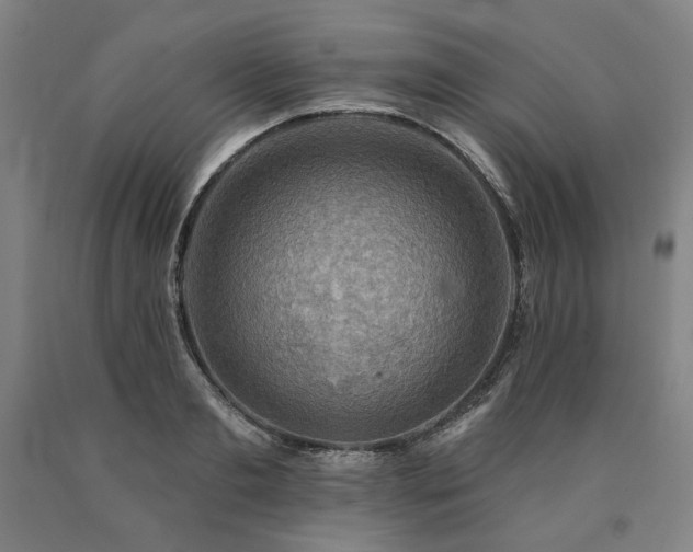 X0000090930893200707301553