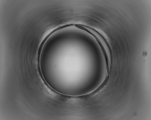 X0000090930894200707301553