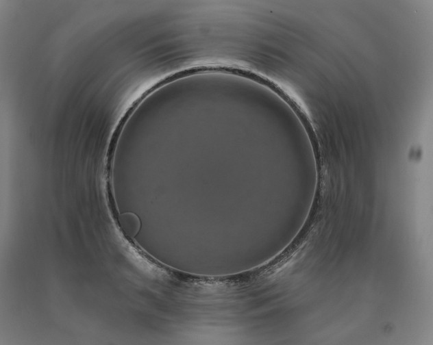 X0000090930895200707301553