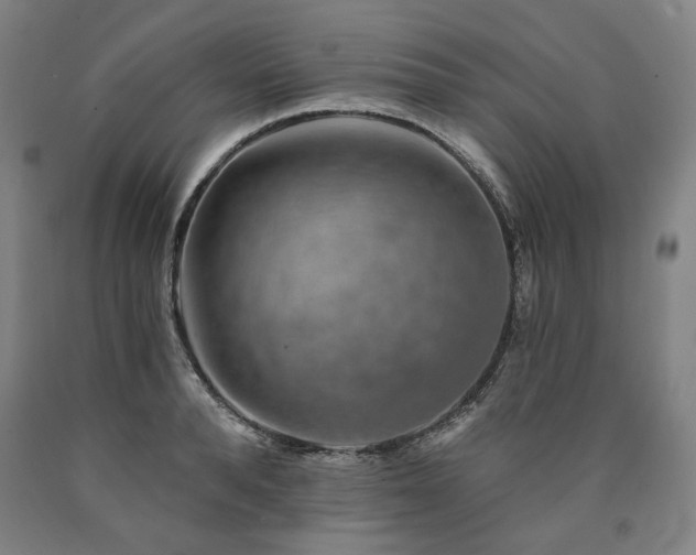 X0000090930896200707301553