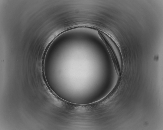 X0000090930898200707301552