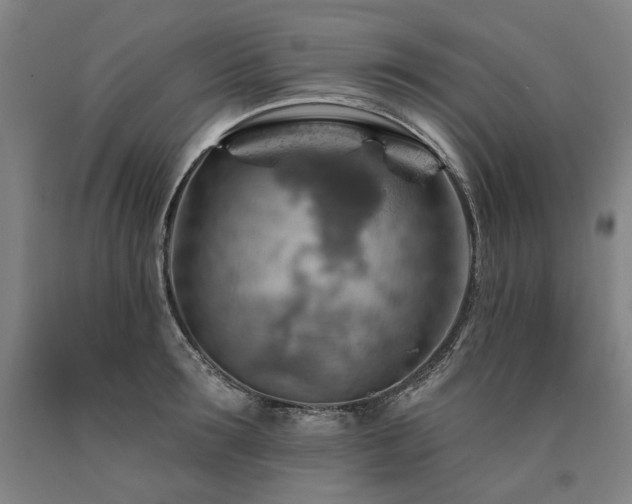 X0000090930899200707301552