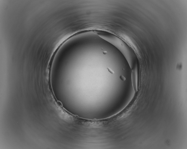 X0000090930900200707301552