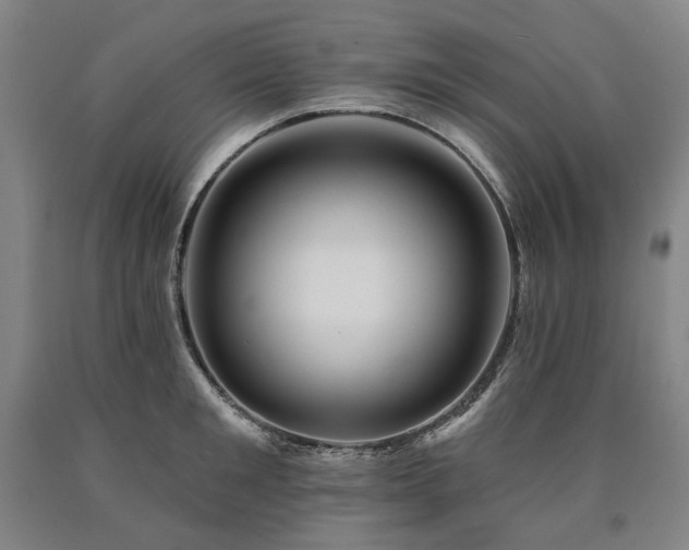 X0000090930901200707301552