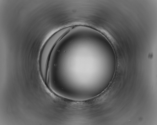 X0000090930902200707301552