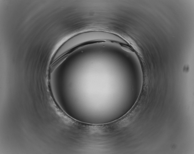 X0000090930904200707301552