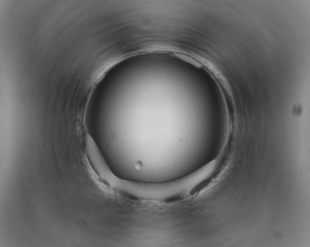 X0000090930905200707301552
