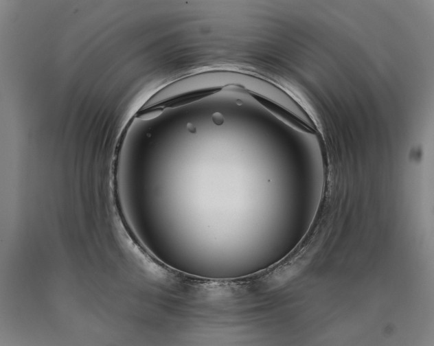 X0000090930906200707301552