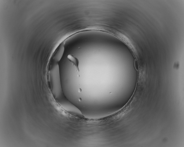 X0000090930908200707301552