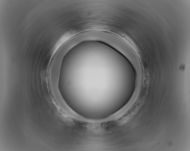 X0000090930909200707301552