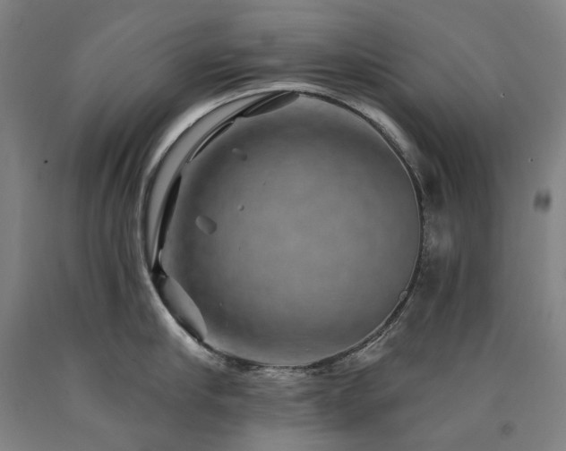 X0000090930910200707301552
