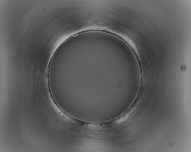 X0000090930911200707301552