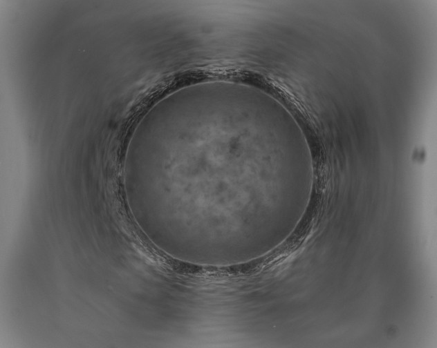 X0000090930913200707301551