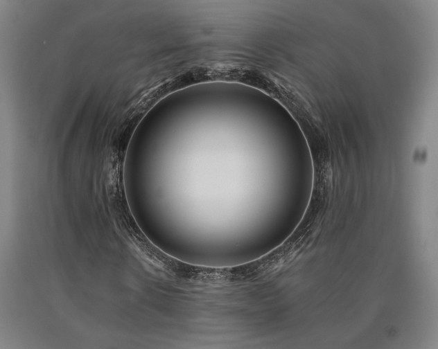 X0000090930914200707301551