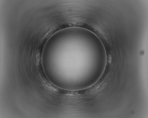 X0000090930915200707301552