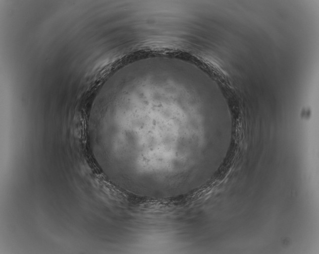 X0000090930917200707301552