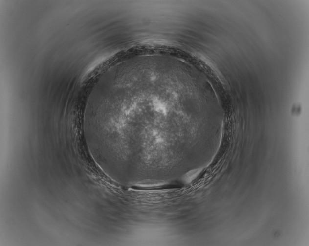 X0000090930919200707301552