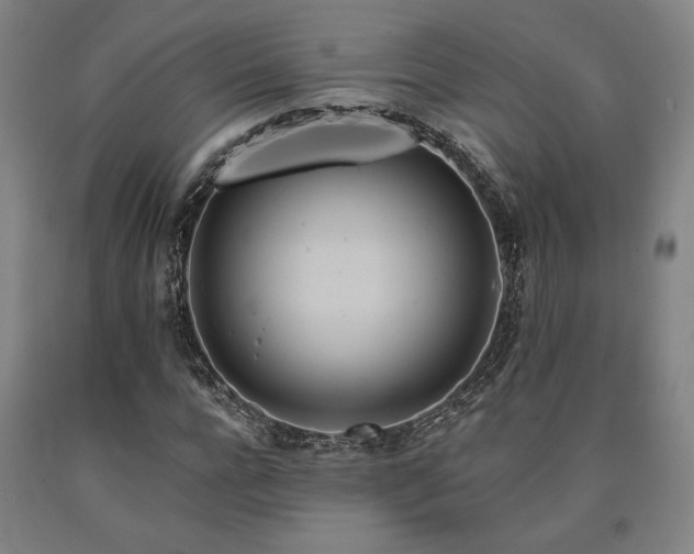 X0000090930920200707301552