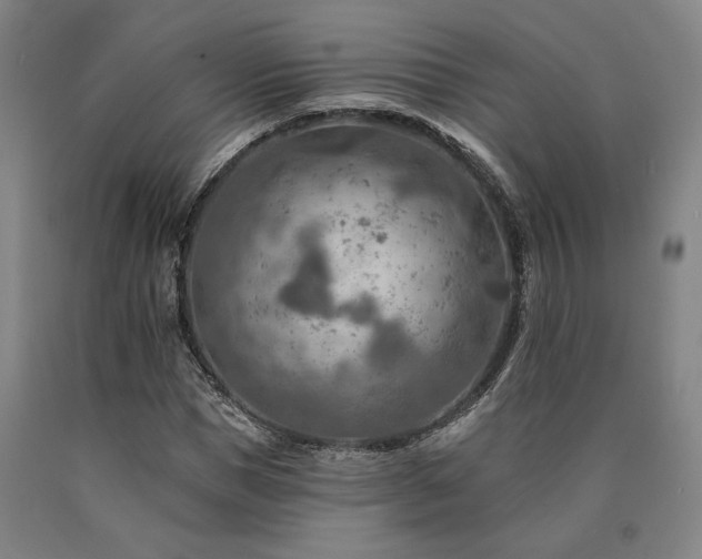 X0000090930921200707301552