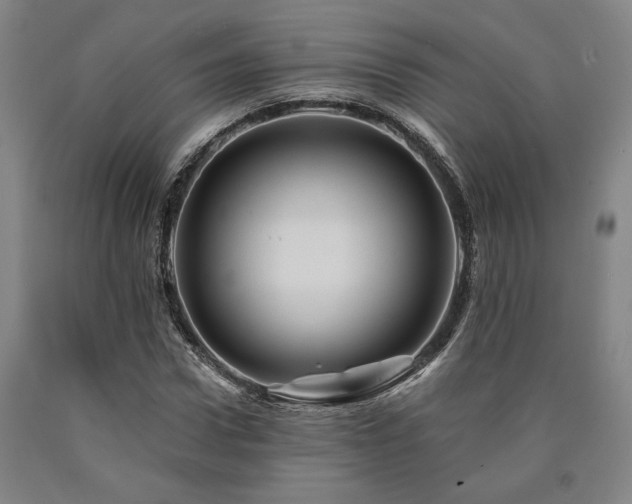 X0000090930922200707301552