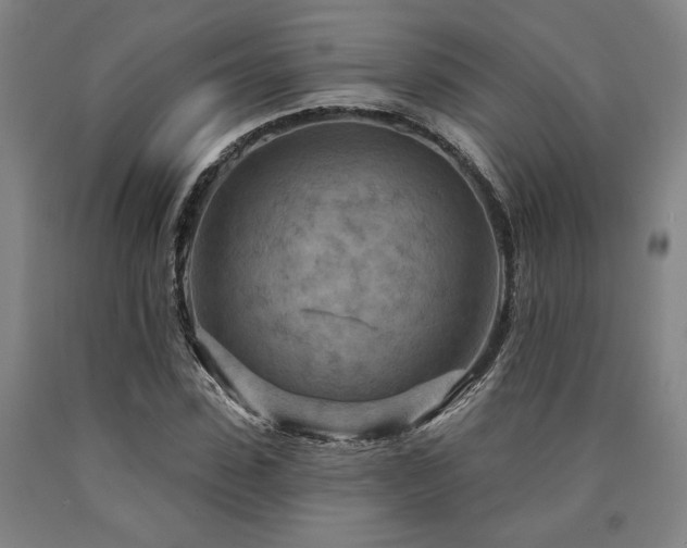 X0000090930923200707301552