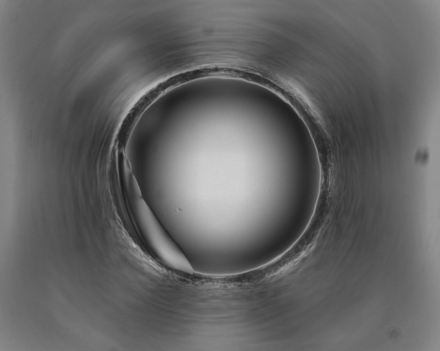 X0000090930924200707301552