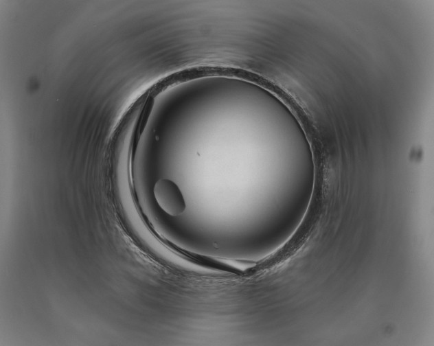 X0000090930926200707301552
