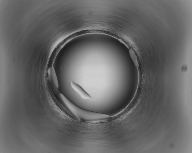 X0000090930928200707301552
