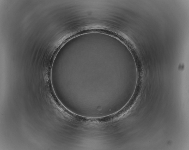 X0000090930929200707301552