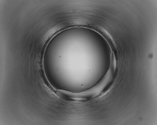 X0000090930930200707301552