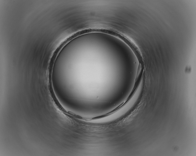 X0000090930935200707301552
