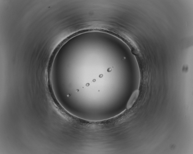 X0000090930936200707301552