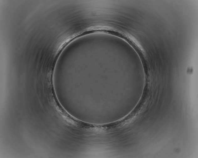 X0000090930937200707301552
