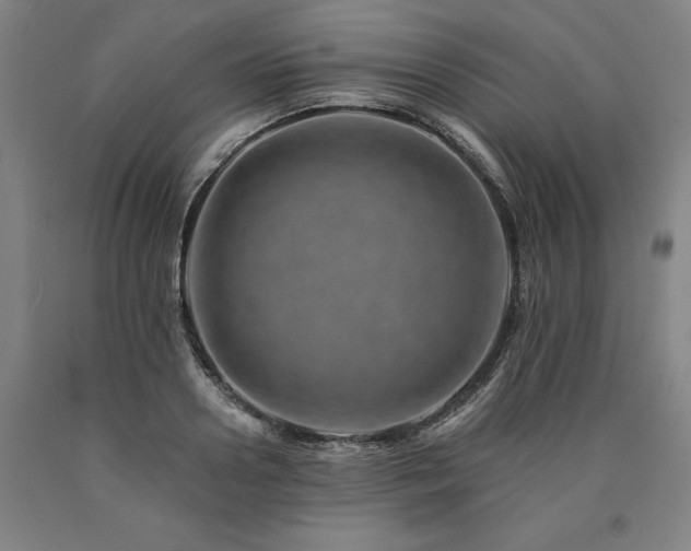 X0000090930938200707301552