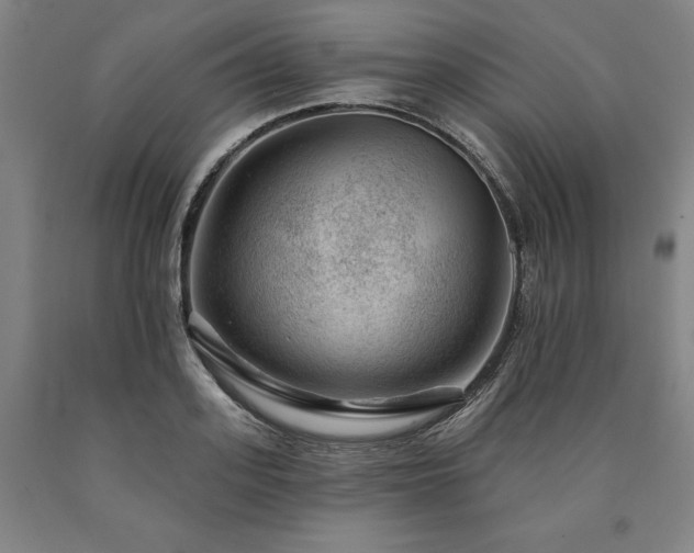 X0000090930939200707301552