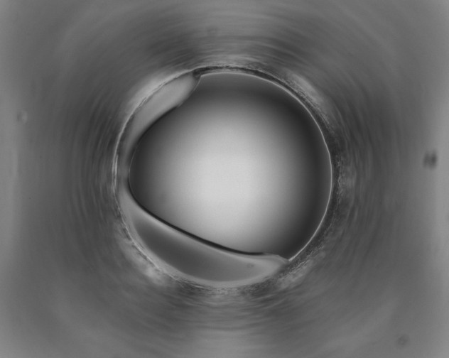 X0000090930940200707301552