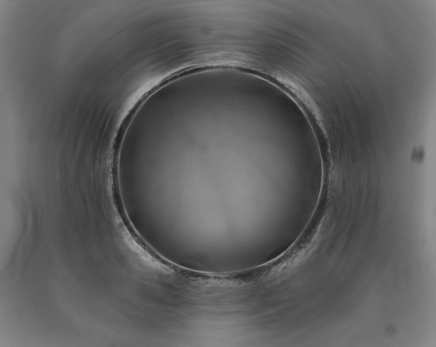 X0000090930941200707301552